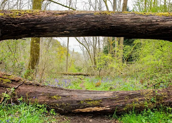 Little Hollows Glamping