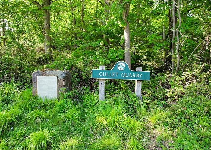 Little Hollows Glamping
