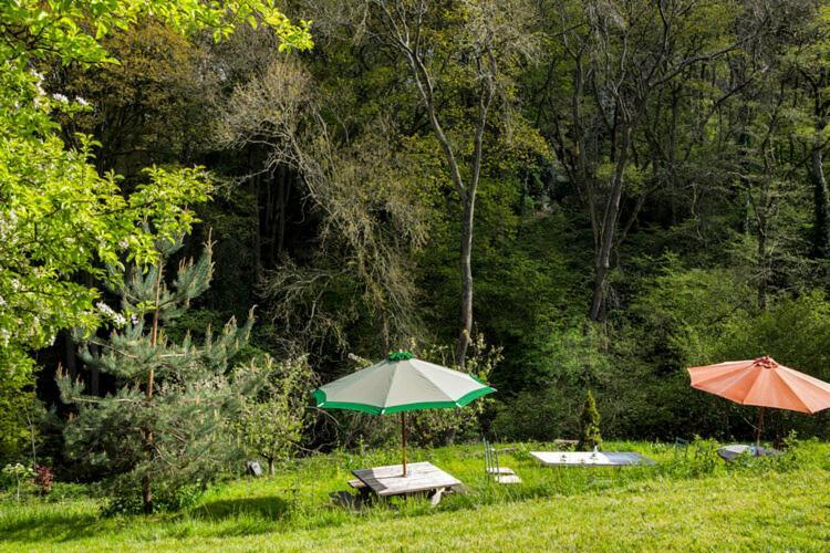 Chalet Little Hollows Glamping