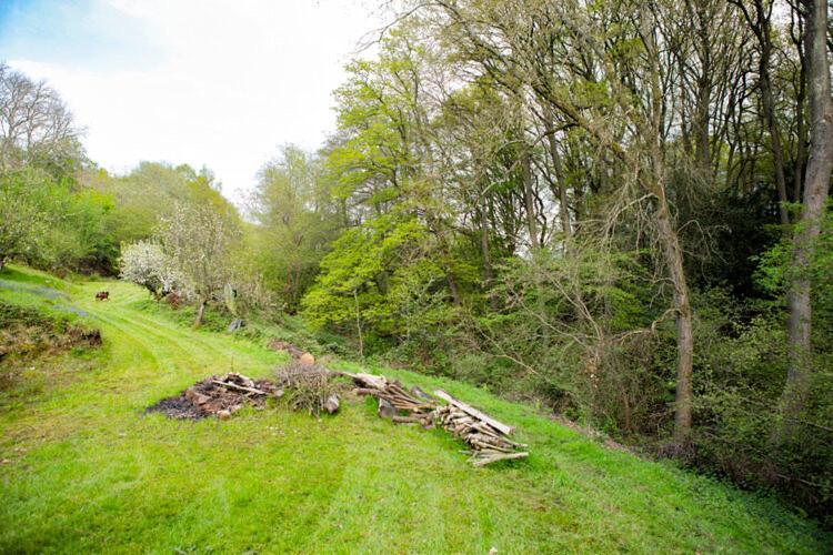 Little Hollows Glamping Chalet *