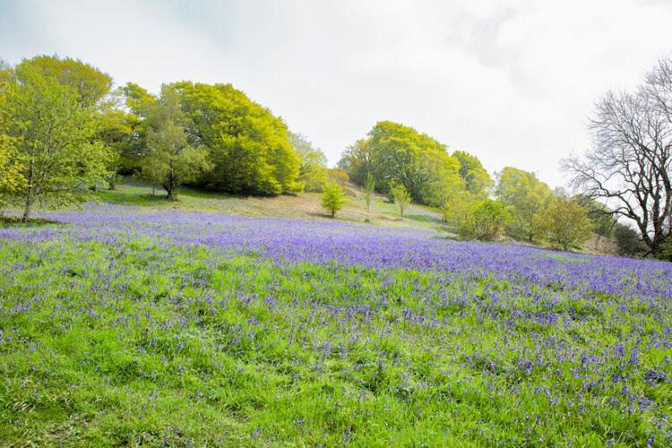 Little Hollows Glamping Little Malvern