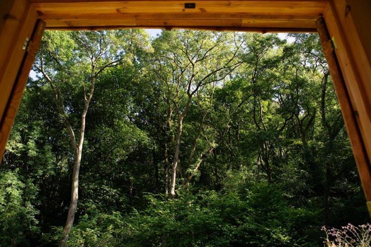 Little Hollows Glamping *