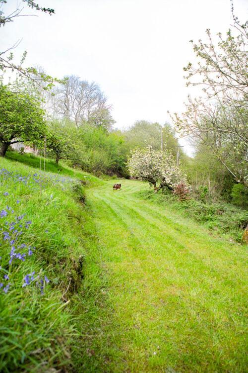 Chalet Little Hollows Glamping