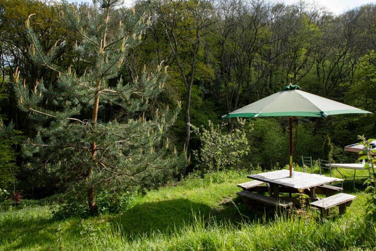 Little Hollows Glamping *