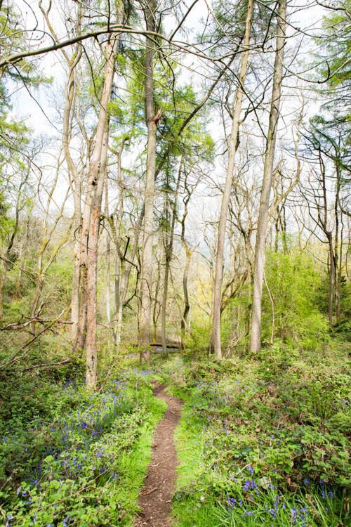 Little Hollows Glamping Little Malvern